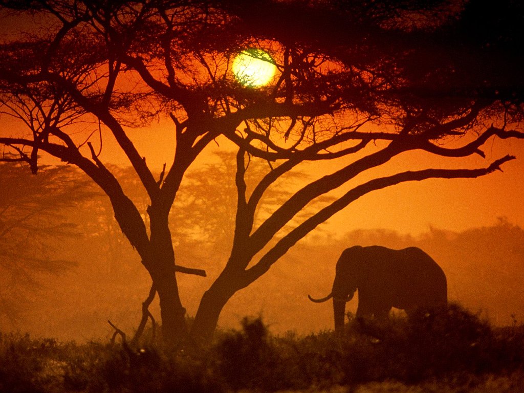 Amboseli National Park, Kenya